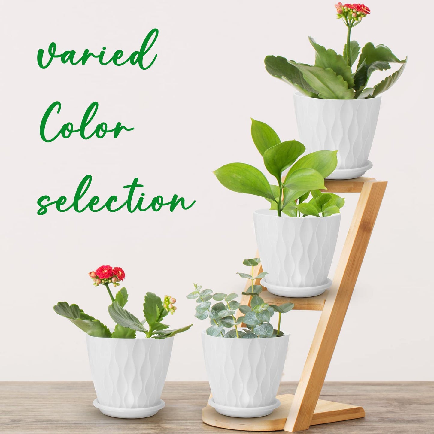 6 inch Plant Pots, 5 Pack Flower Pots Outdoor Indoor, Planters with Drainage Holes and Tray Saucers(Multicolor)