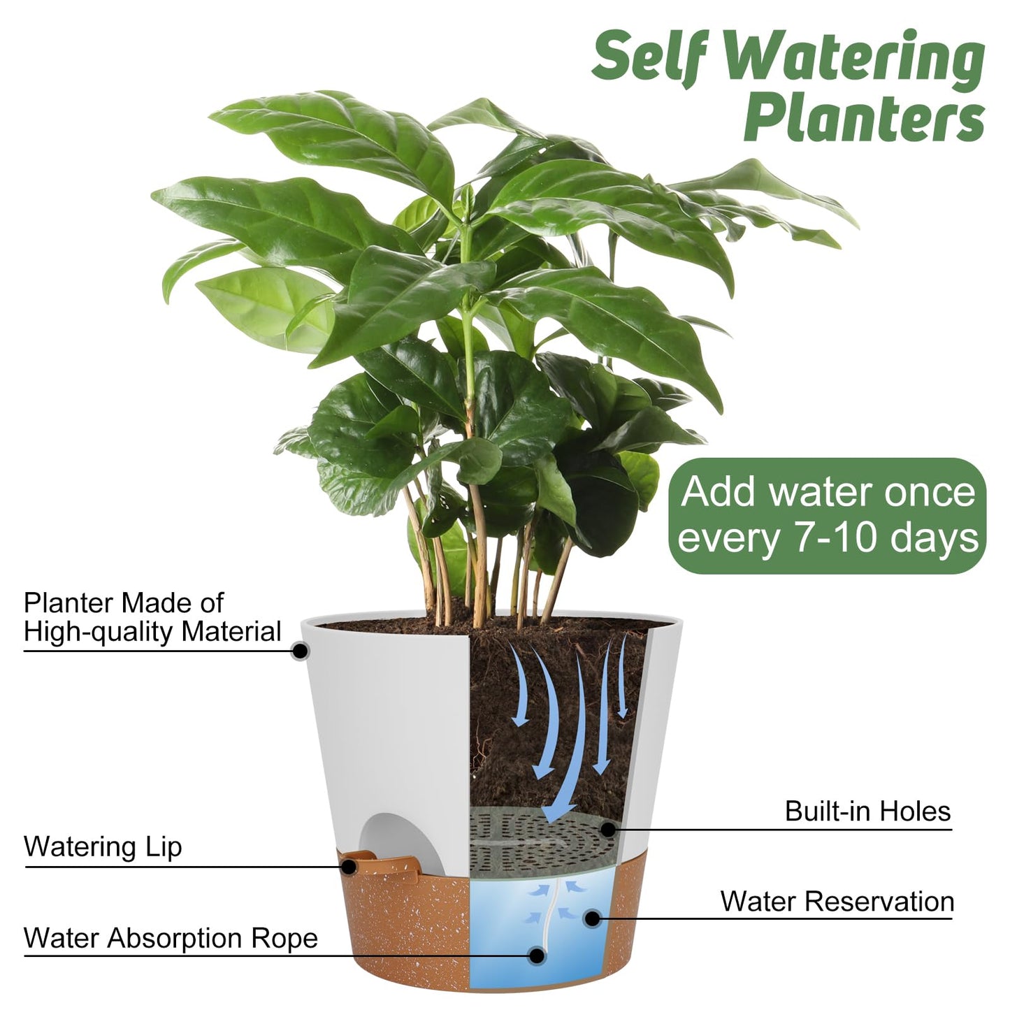 Indoor Self Watering Planters with Drainage Holes and Saucers, 8, 7, 6.5, 6, 5.5, 5 Inches, Black, 6 Pots