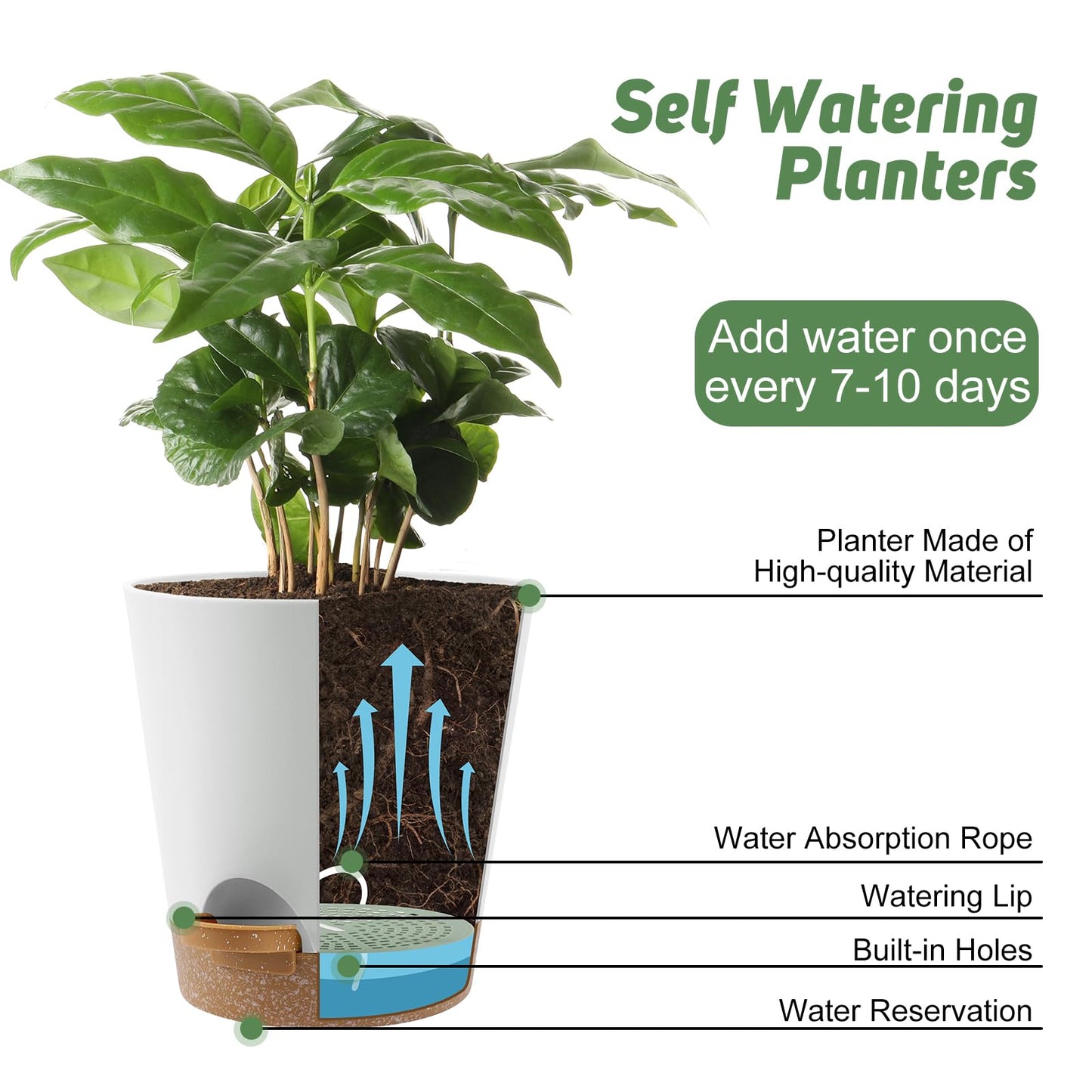 Indoor Self Watering Planters with Drainage Holes and Saucers, 8, 7, 6.5, 6, 5.5, 5 Inches, Black, 6 Pots