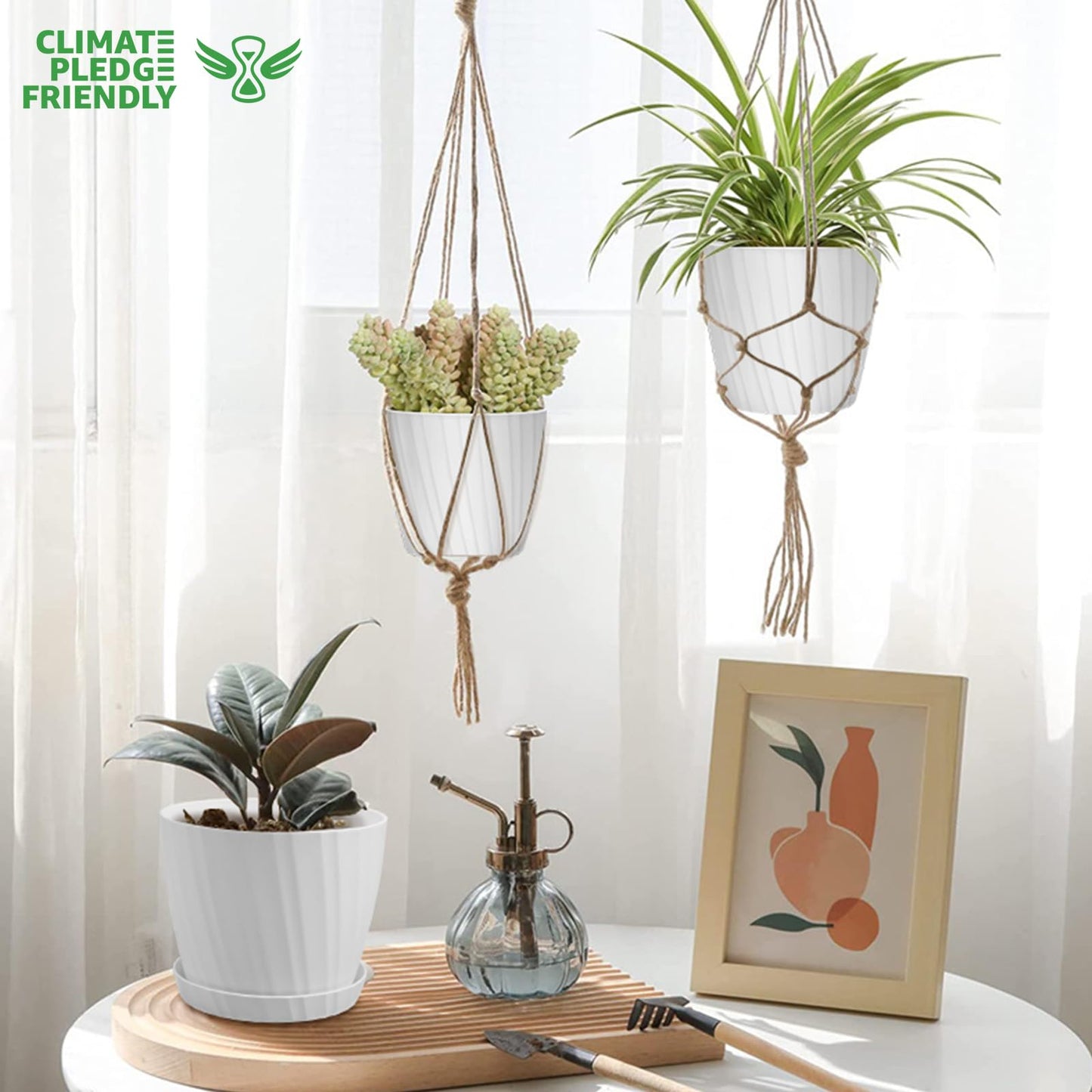 Indoor Self Watering Planters with Drainage Holes and Saucers, 8, 7, 6.5, 6, 5.5, 5 Inches, Black, 6 Pots
