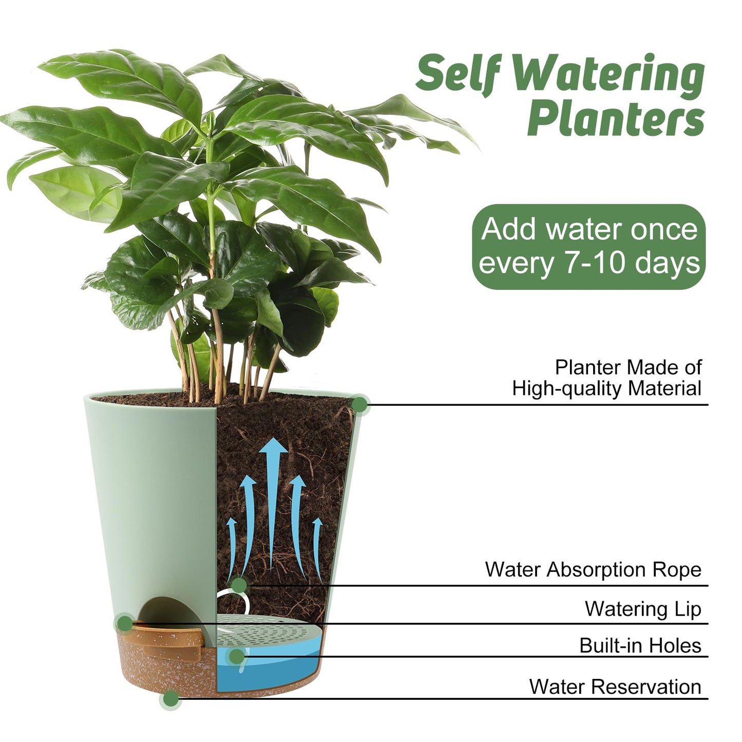 Indoor Self Watering Planters with Drainage Holes and Saucers, 8, 7, 6.5, 6, 5.5, 5 Inches, Black, 6 Pots