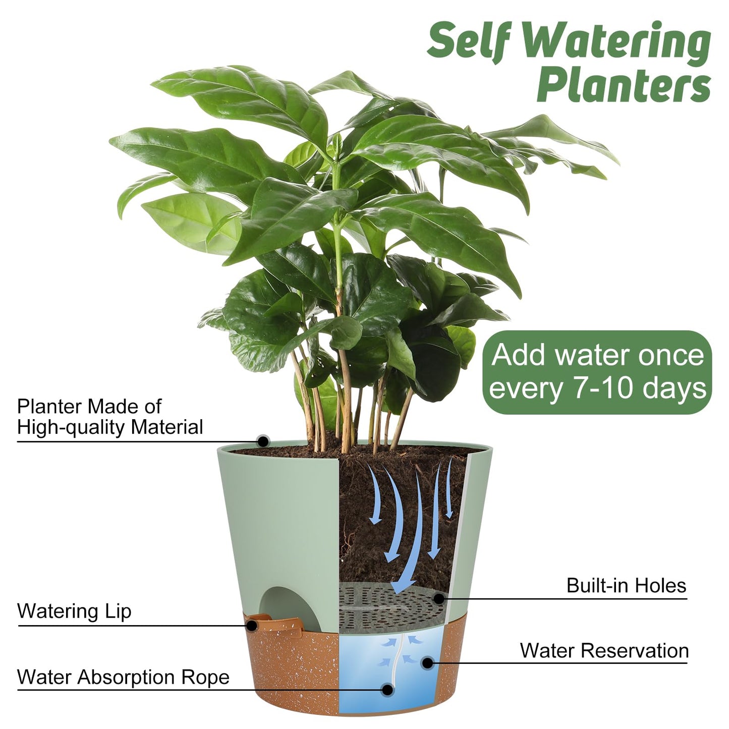 Indoor Self Watering Planters with Drainage Holes and Saucers, 8, 7, 6.5, 6, 5.5, 5 Inches, Black, 6 Pots