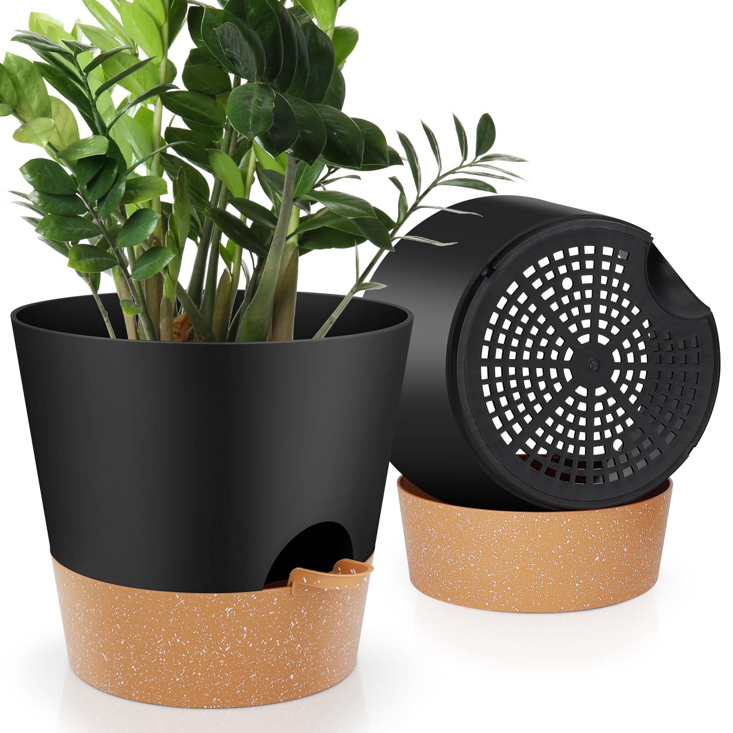 Indoor Self Watering Planters with Drainage Holes and Saucers, 8, 7, 6.5, 6, 5.5, 5 Inches, Black, 6 Pots