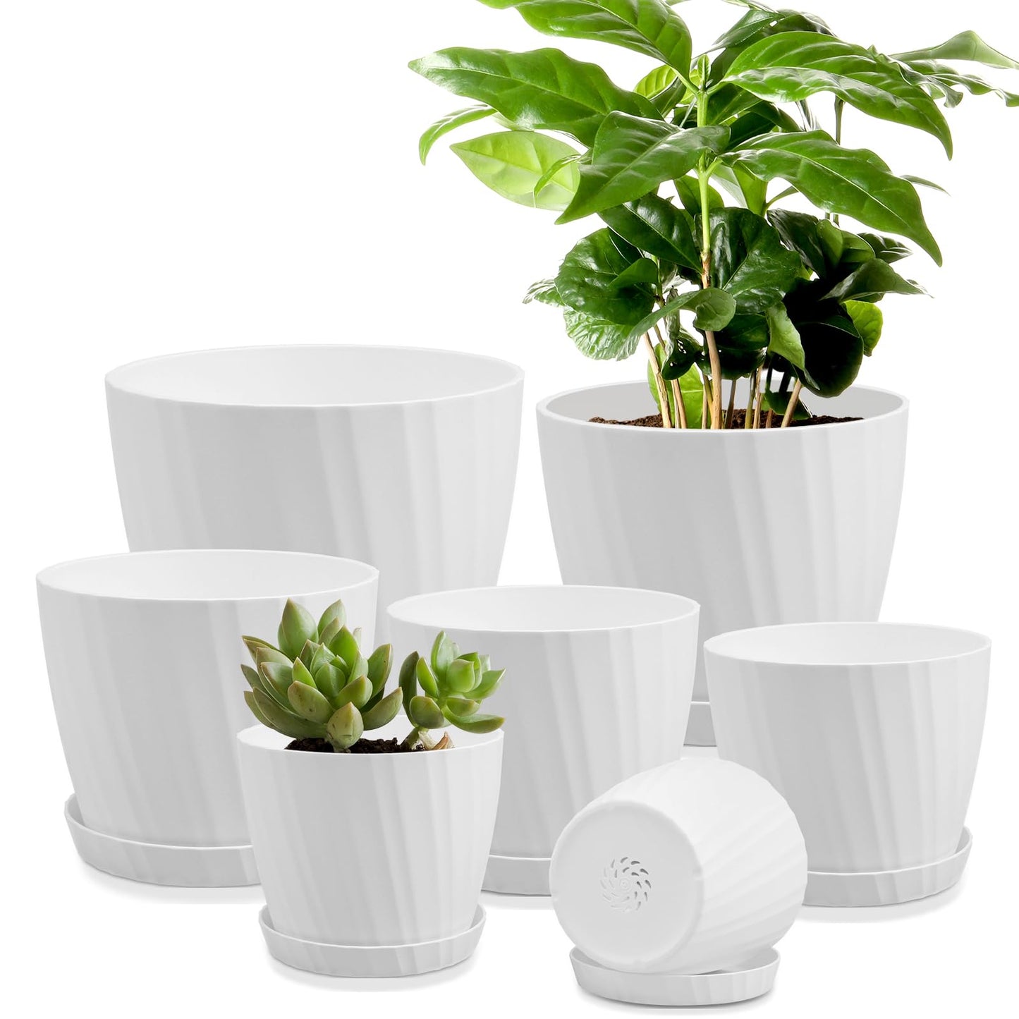 Indoor Self Watering Planters with Drainage Holes and Saucers, 8, 7, 6.5, 6, 5.5, 5 Inches, Black, 6 Pots