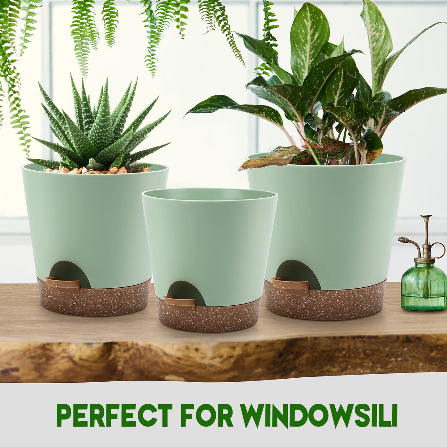 Indoor Self Watering Planters with Drainage Holes and Saucers, 8, 7, 6.5, 6, 5.5, 5 Inches, Black, 6 Pots