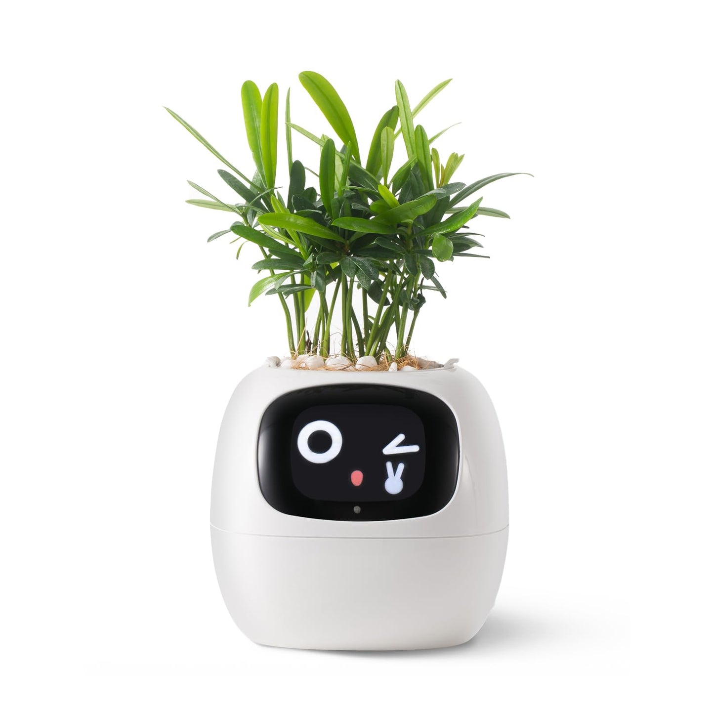 Smart pet Planter Robot Guidance on Plant Care with Emojis, Adorable Plant Companion with Rich Gesture Interaction, Neat Desk Setup Gift (Green)