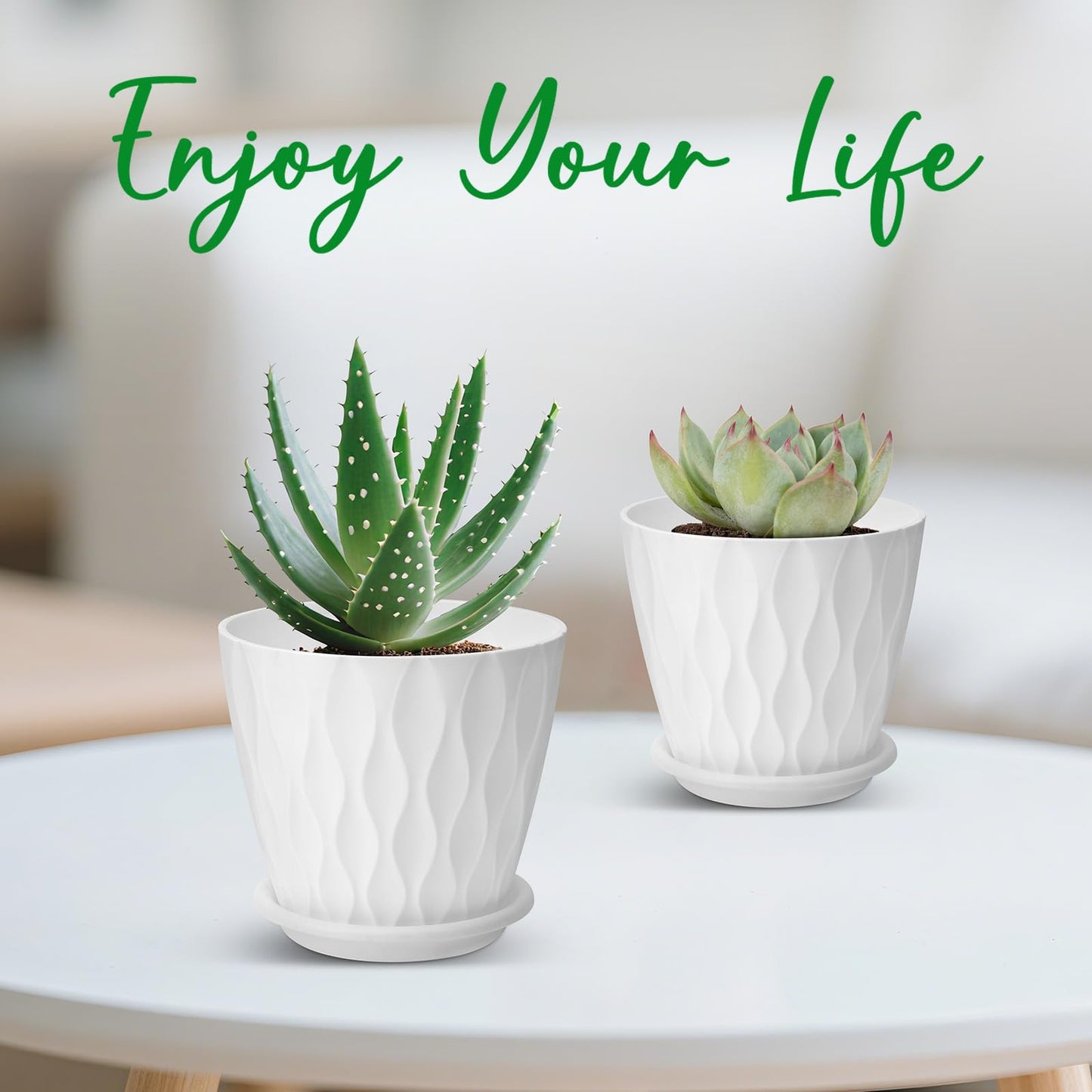 6 inch Plant Pots, 5 Pack Flower Pots Outdoor Indoor, Planters with Drainage Holes and Tray Saucers（Multicolor）