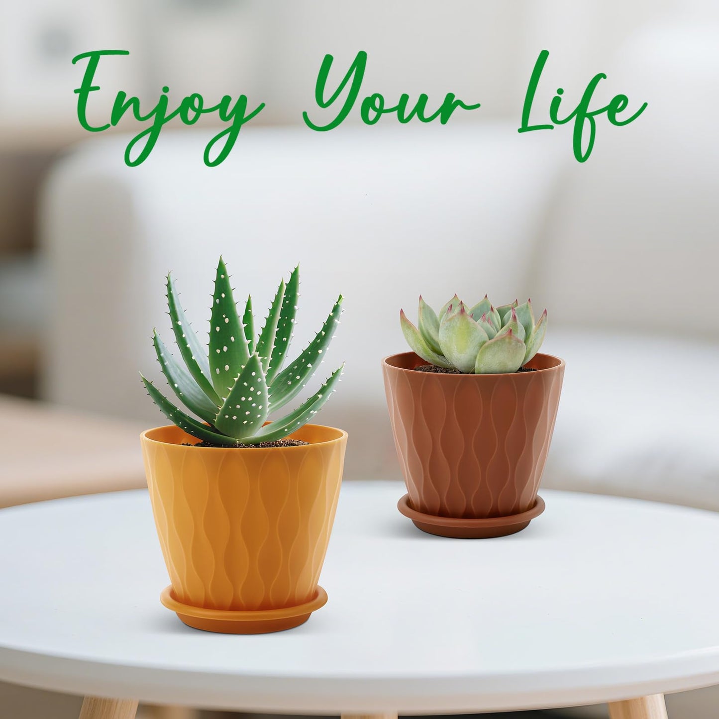 6 inch Plant Pots, 5 Pack Flower Pots Outdoor Indoor, Planters with Drainage Holes and Tray Saucers（Multicolor）