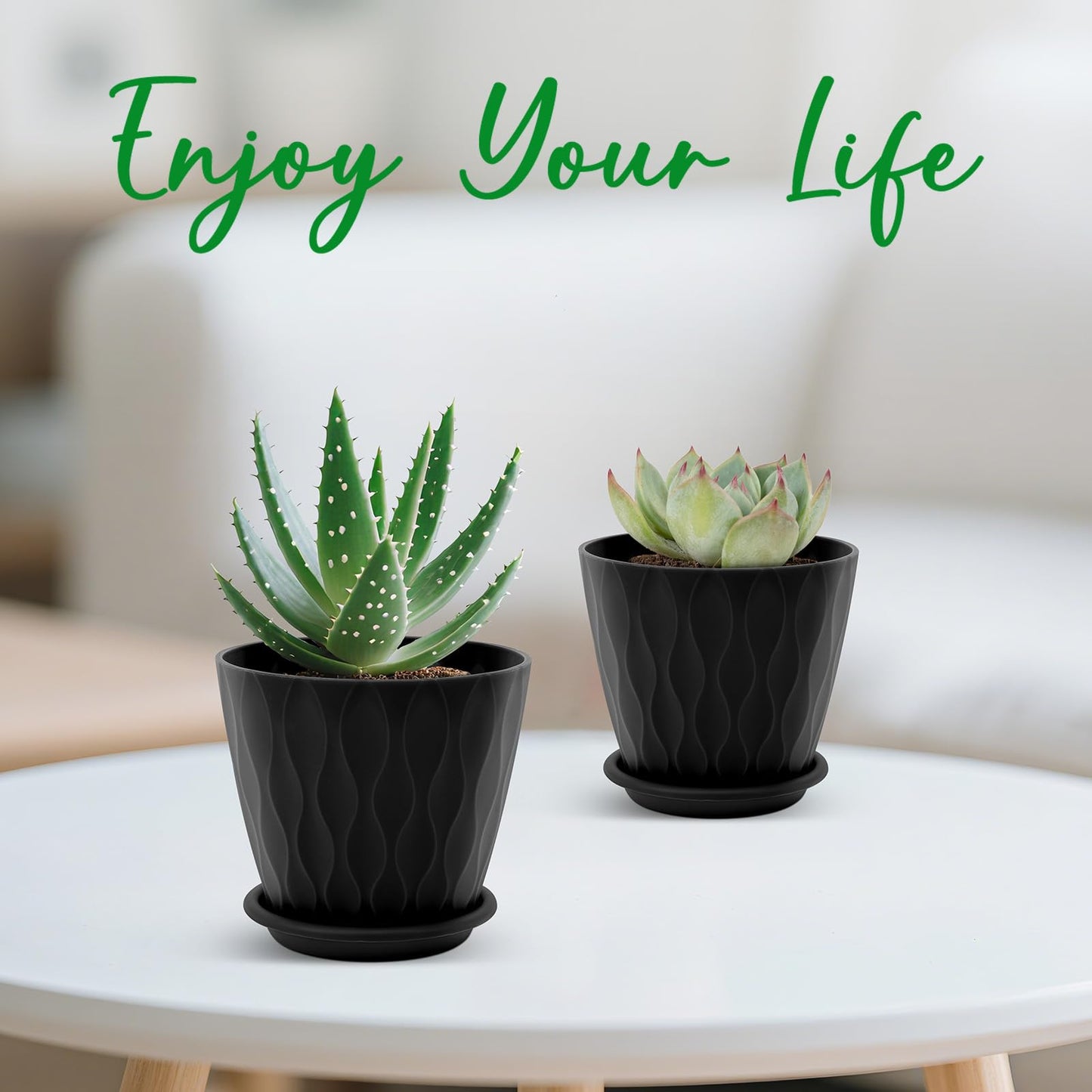 6 inch Plant Pots, 5 Pack Flower Pots Outdoor Indoor, Planters with Drainage Holes and Tray Saucers（Multicolor）
