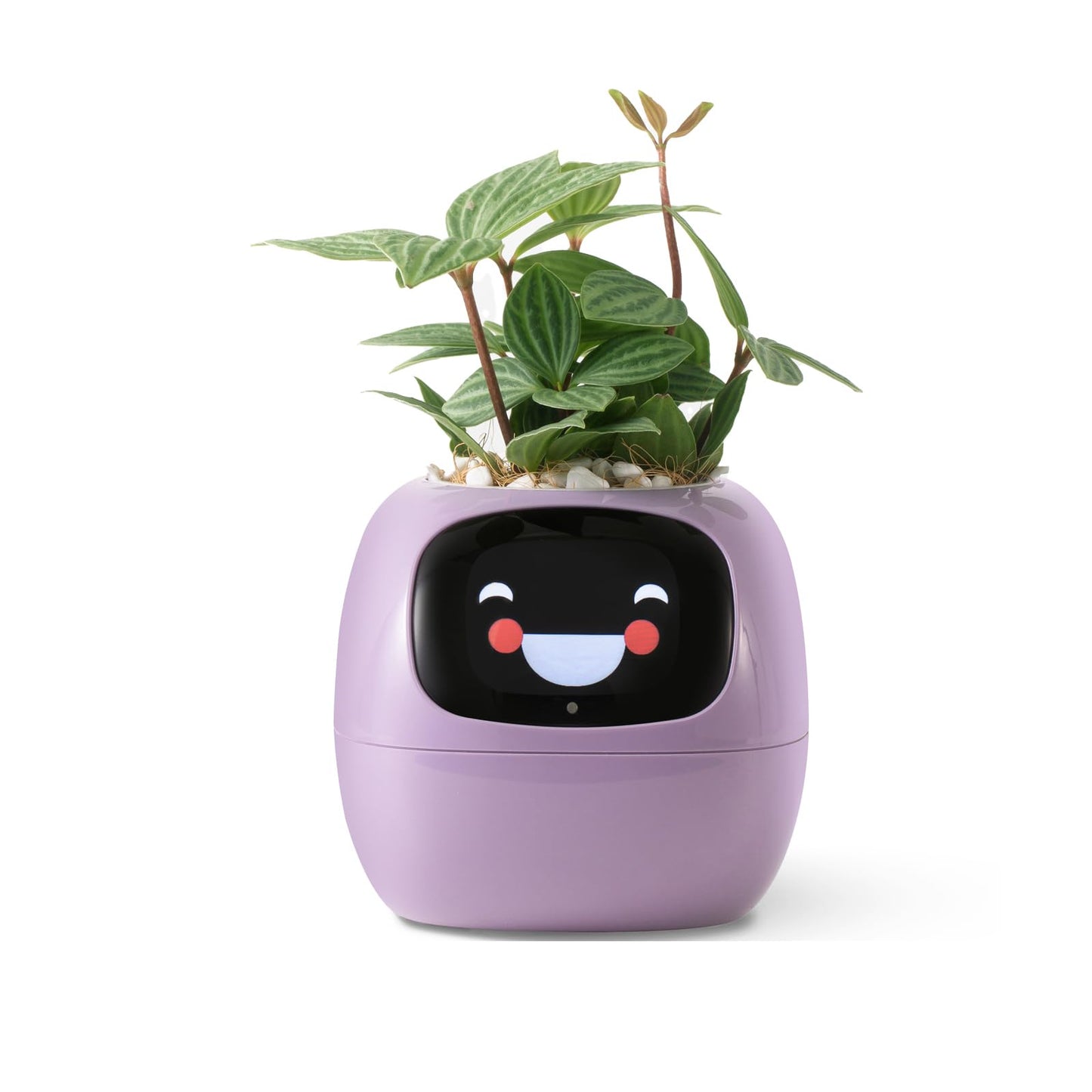 Smart pet Planter Robot Guidance on Plant Care with Emojis, Adorable Plant Companion with Rich Gesture Interaction, Neat Desk Setup Gift (Green)