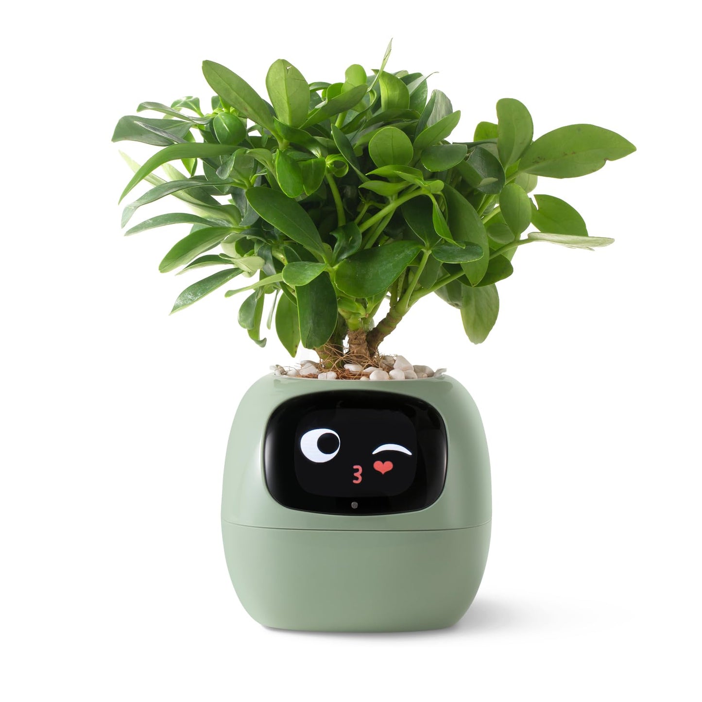 Smart pet Planter Robot Guidance on Plant Care with Emojis, Adorable Plant Companion with Rich Gesture Interaction, Neat Desk Setup Gift (Green)