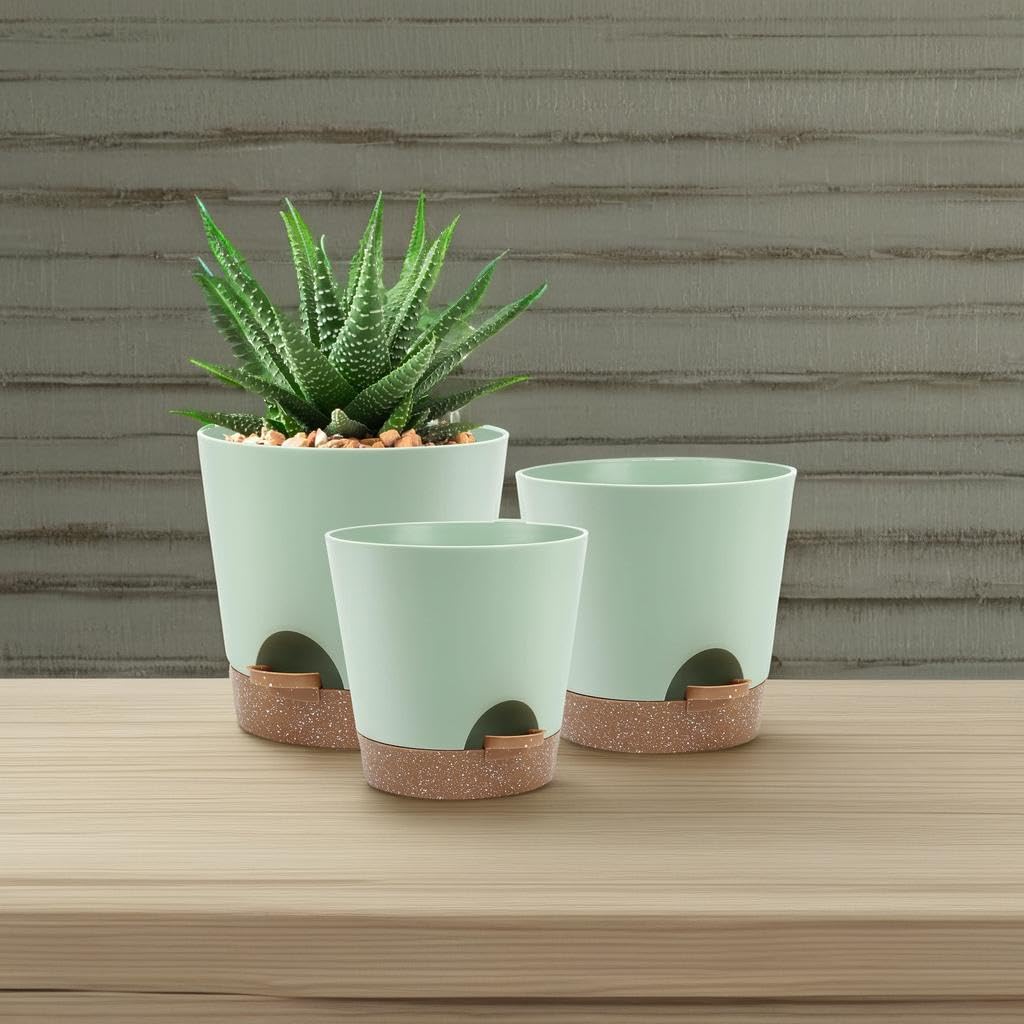 Indoor Self Watering Planters with Drainage Holes and Saucers, 8, 7, 6.5, 6, 5.5, 5 Inches, Black, 6 Pots