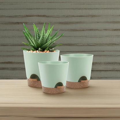 Indoor Self Watering Planters with Drainage Holes and Saucers, 8, 7, 6.5, 6, 5.5, 5 Inches, Black, 6 Pots