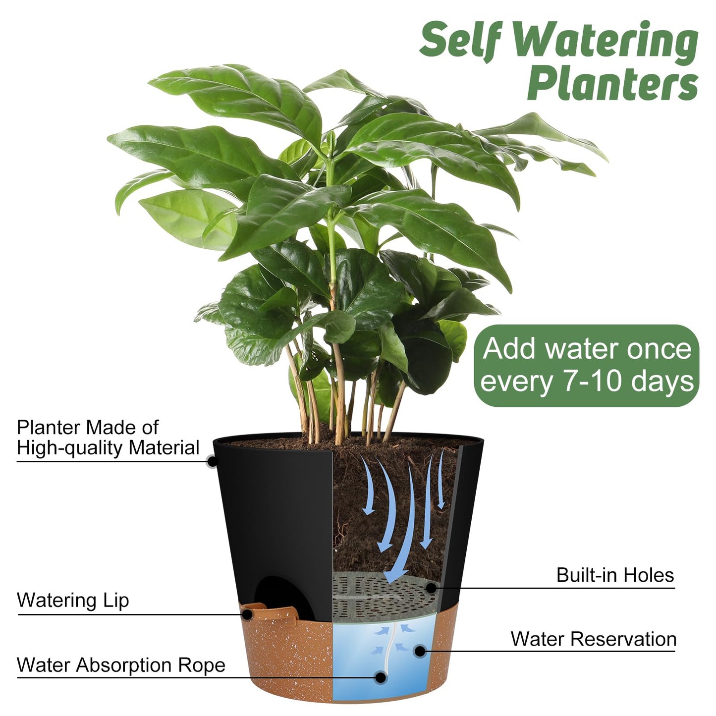 Indoor Self Watering Planters with Drainage Holes and Saucers, 8, 7, 6.5, 6, 5.5, 5 Inches, Black, 6 Pots
