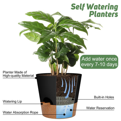 Indoor Self Watering Planters with Drainage Holes and Saucers, 8, 7, 6.5, 6, 5.5, 5 Inches, Black, 6 Pots