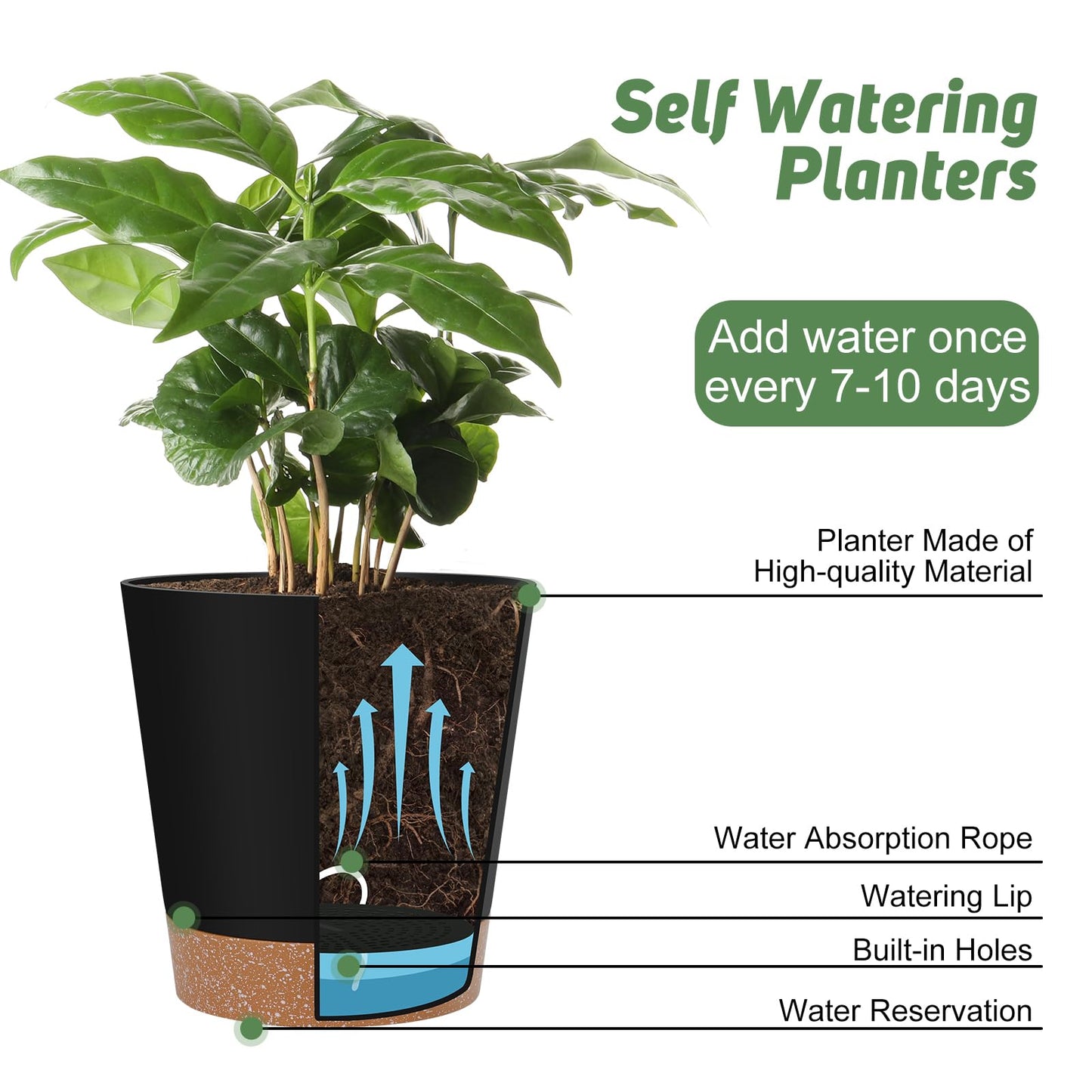 Indoor Self Watering Planters with Drainage Holes and Saucers, 8, 7, 6.5, 6, 5.5, 5 Inches, Black, 6 Pots