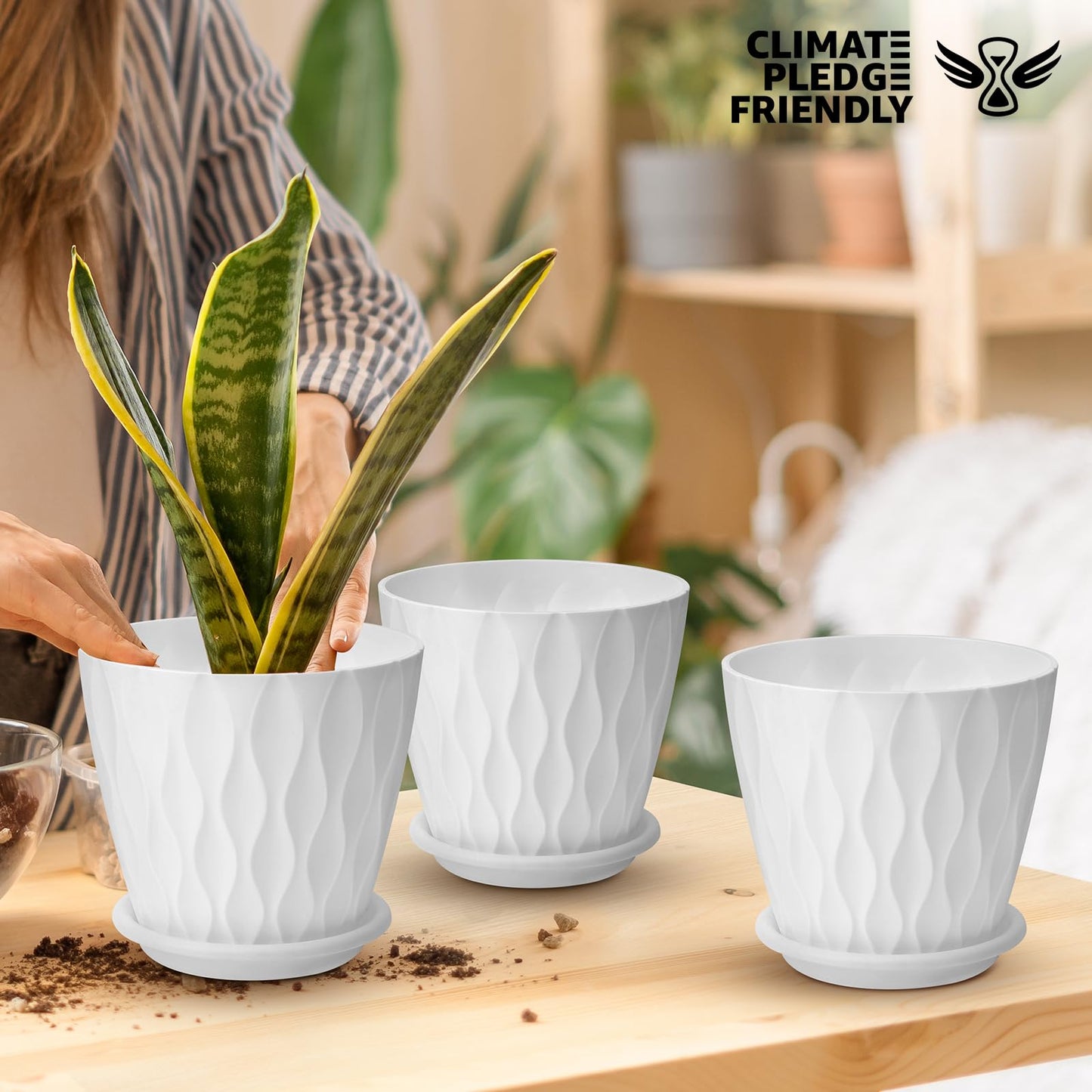 6 inch Plant Pots, 5 Pack Flower Pots Outdoor Indoor, Planters with Drainage Holes and Tray Saucers（Multicolor）