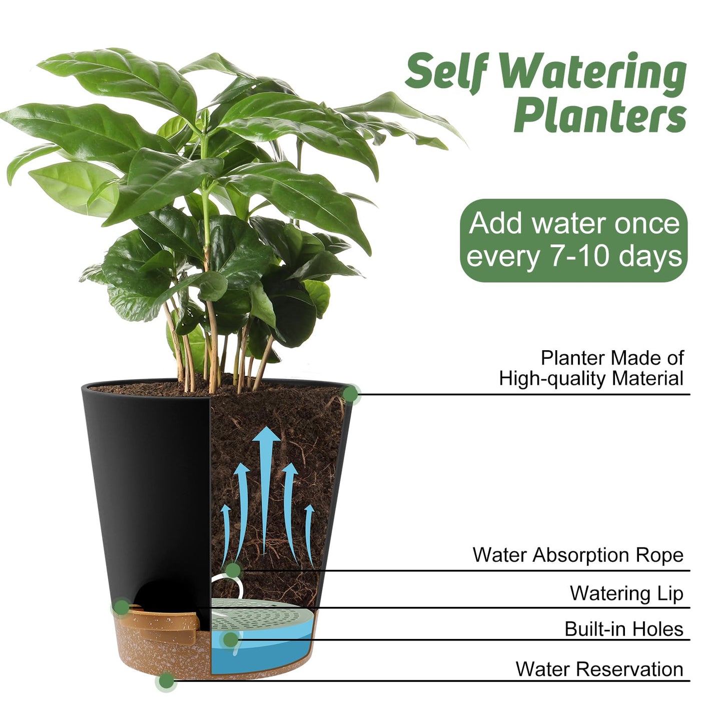 Indoor Self Watering Planters with Drainage Holes and Saucers, 8, 7, 6.5, 6, 5.5, 5 Inches, Black, 6 Pots
