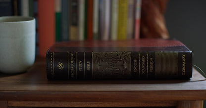 ESV Archaeology Study Bible (TruTone, Brown/Walnut, Portfolio Design): Holy Bible, English Standard Version