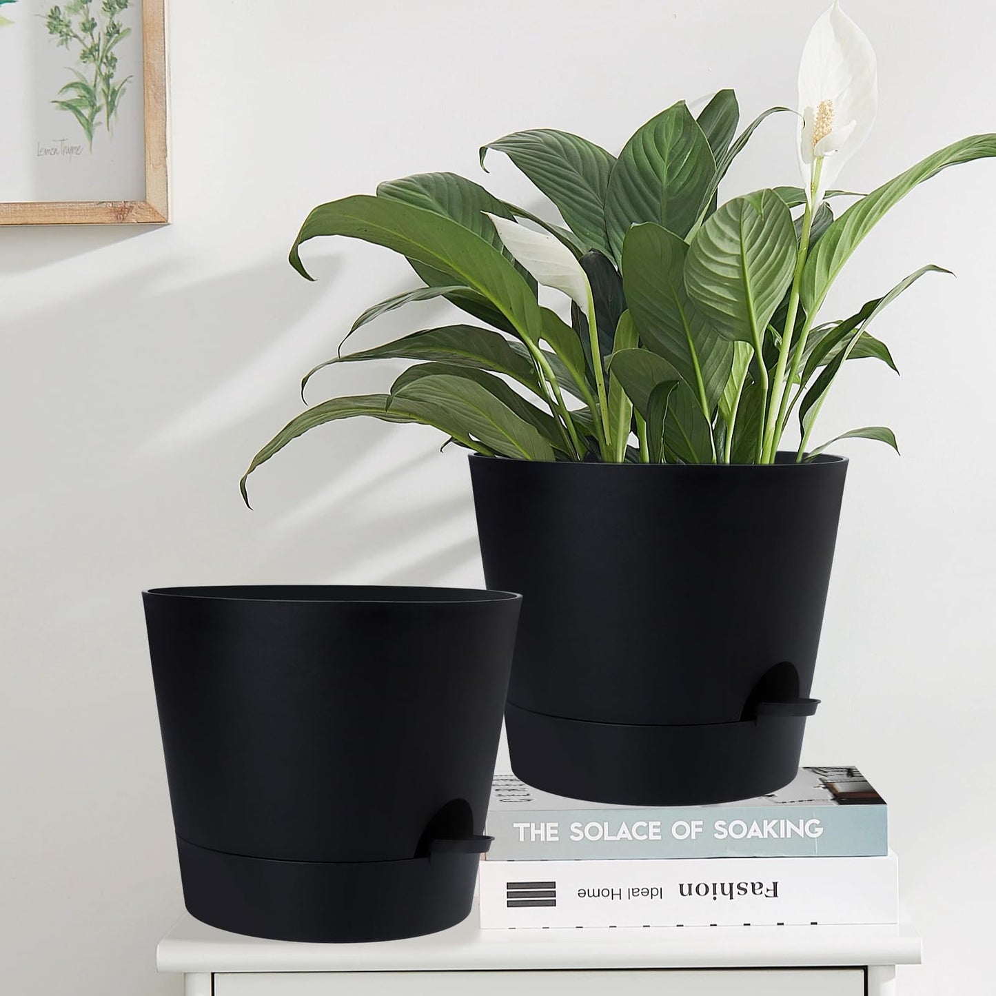 Indoor Self Watering Planters with Drainage Holes and Saucers, 8, 7, 6.5, 6, 5.5, 5 Inches, Black, 6 Pots