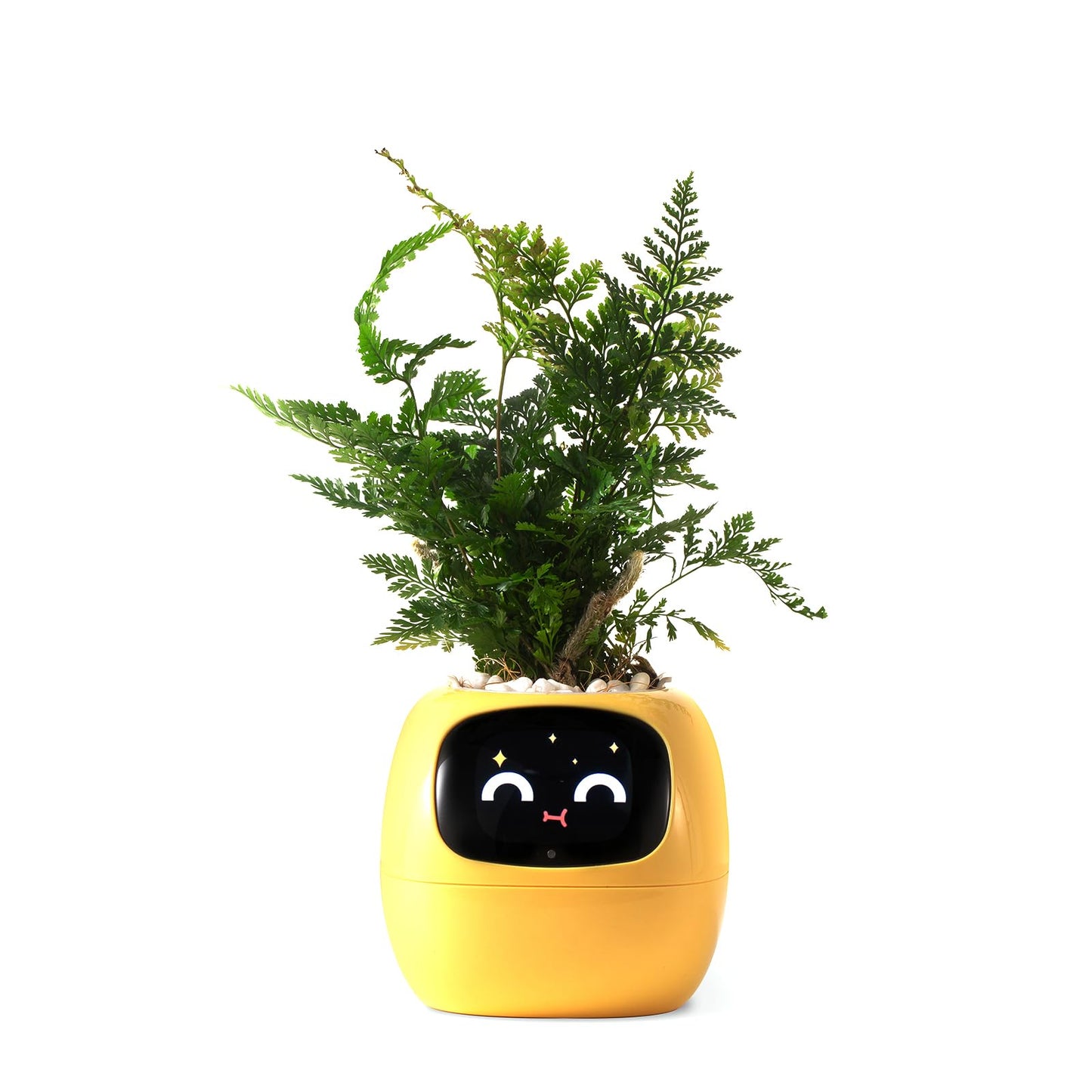 Smart pet Planter Robot Guidance on Plant Care with Emojis, Adorable Plant Companion with Rich Gesture Interaction, Neat Desk Setup Gift (Green)
