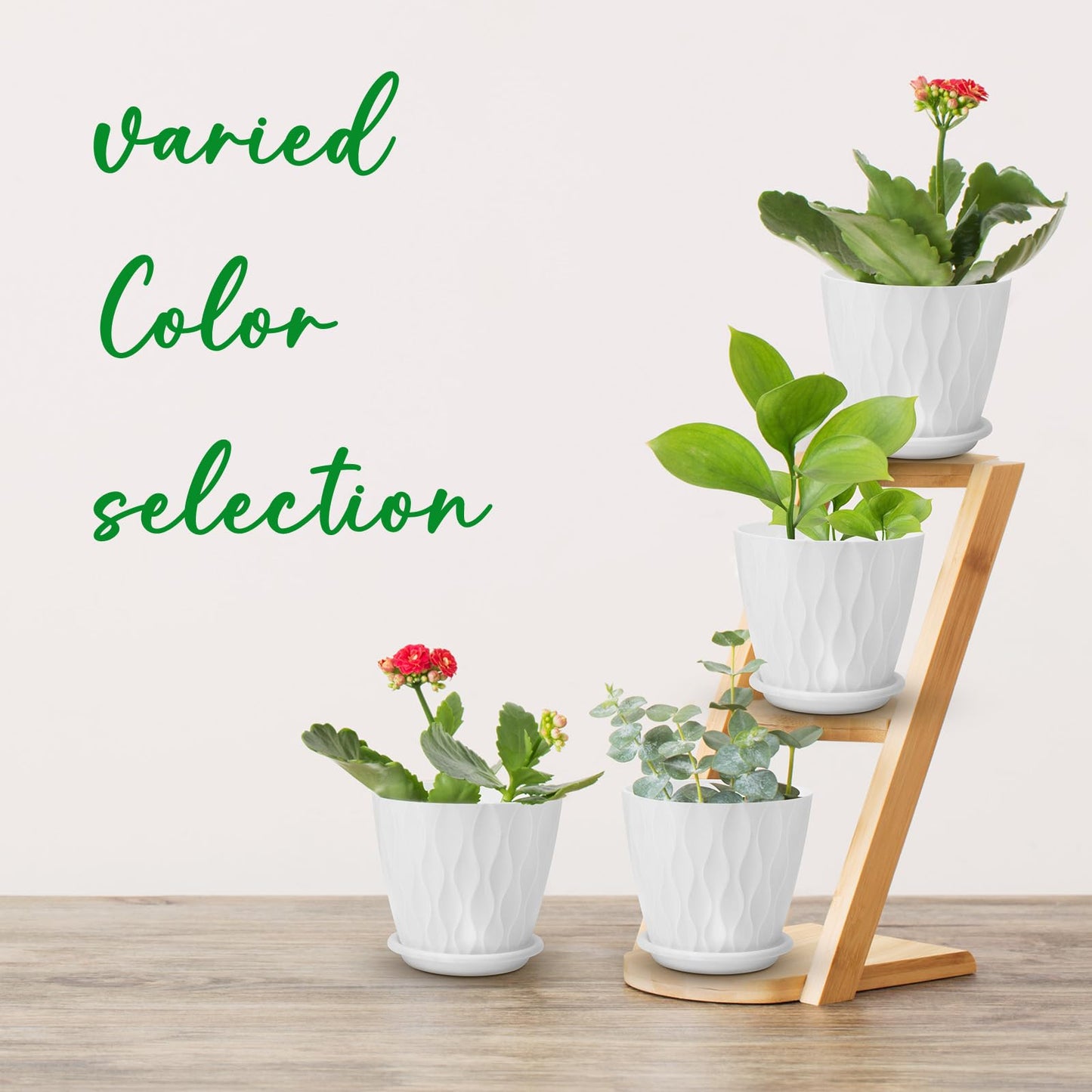 6 inch Plant Pots, 5 Pack Flower Pots Outdoor Indoor, Planters with Drainage Holes and Tray Saucers（Multicolor）