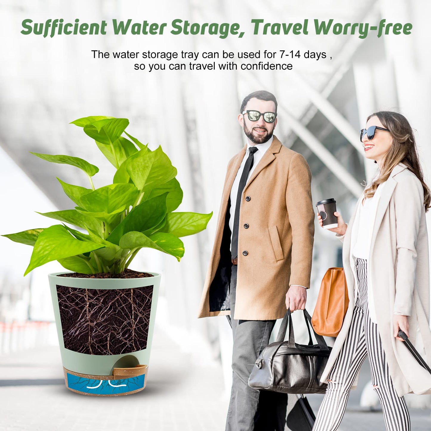 Indoor Self Watering Planters with Drainage Holes and Saucers, 8, 7, 6.5, 6, 5.5, 5 Inches, Black, 6 Pots