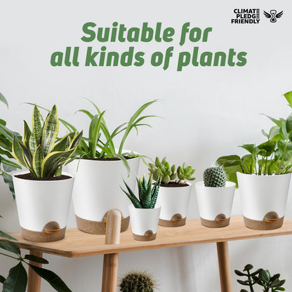 Indoor Self Watering Planters with Drainage Holes and Saucers, 8, 7, 6.5, 6, 5.5, 5 Inches, Black, 6 Pots