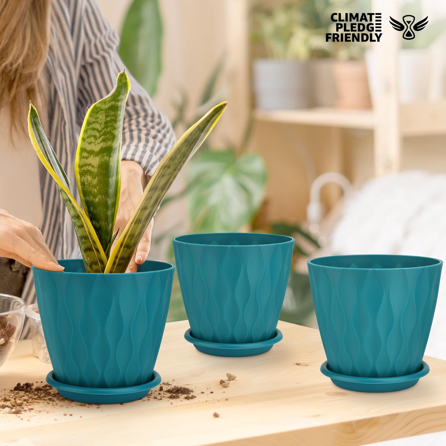 6 inch Plant Pots, 5 Pack Flower Pots Outdoor Indoor, Planters with Drainage Holes and Tray Saucers（Multicolor）
