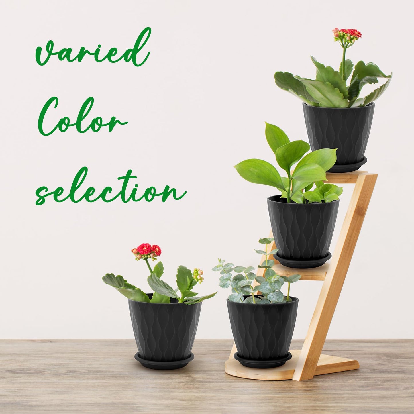6 inch Plant Pots, 5 Pack Flower Pots Outdoor Indoor, Planters with Drainage Holes and Tray Saucers（Multicolor）
