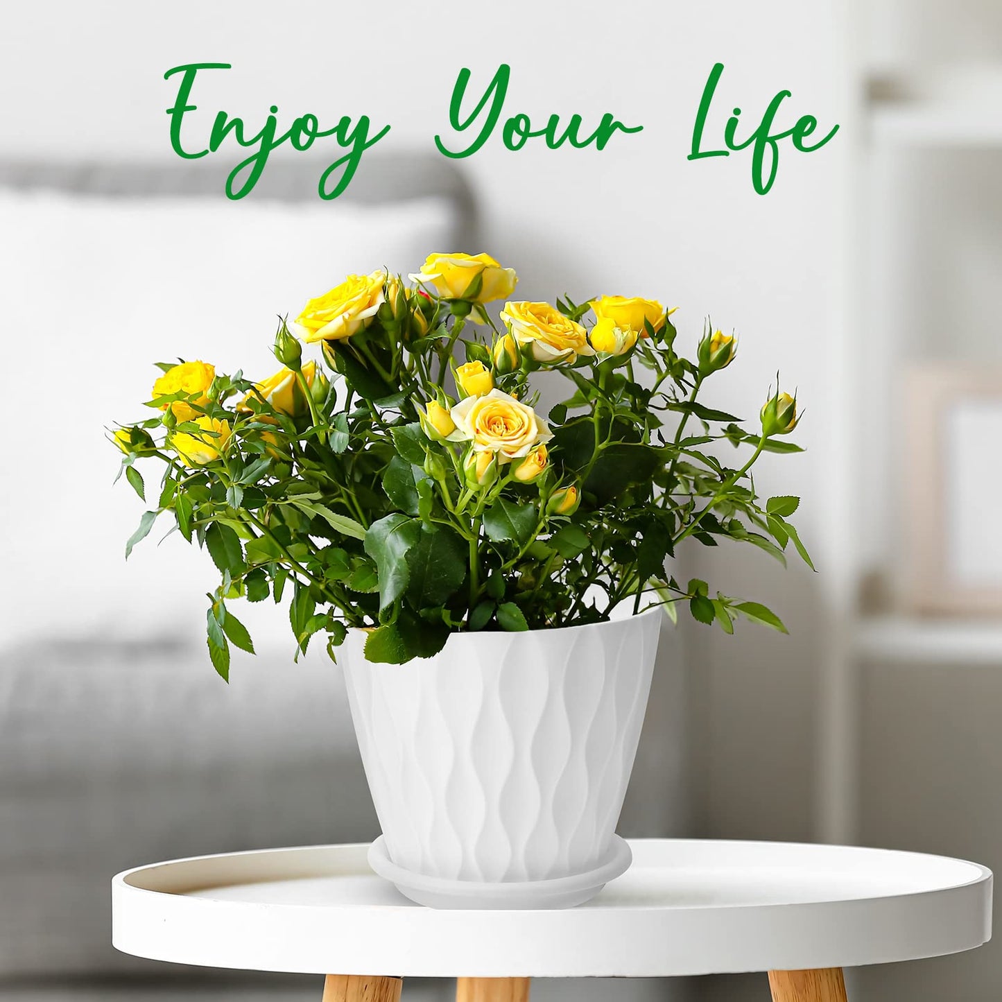6 inch Plant Pots, 5 Pack Flower Pots Outdoor Indoor, Planters with Drainage Holes and Tray Saucers（Multicolor）