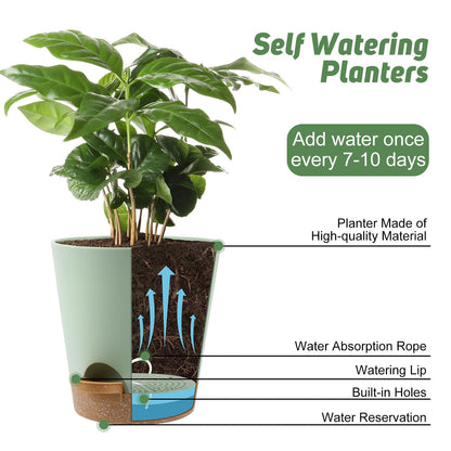 Indoor Self Watering Planters with Drainage Holes and Saucers, 8, 7, 6.5, 6, 5.5, 5 Inches, Black, 6 Pots