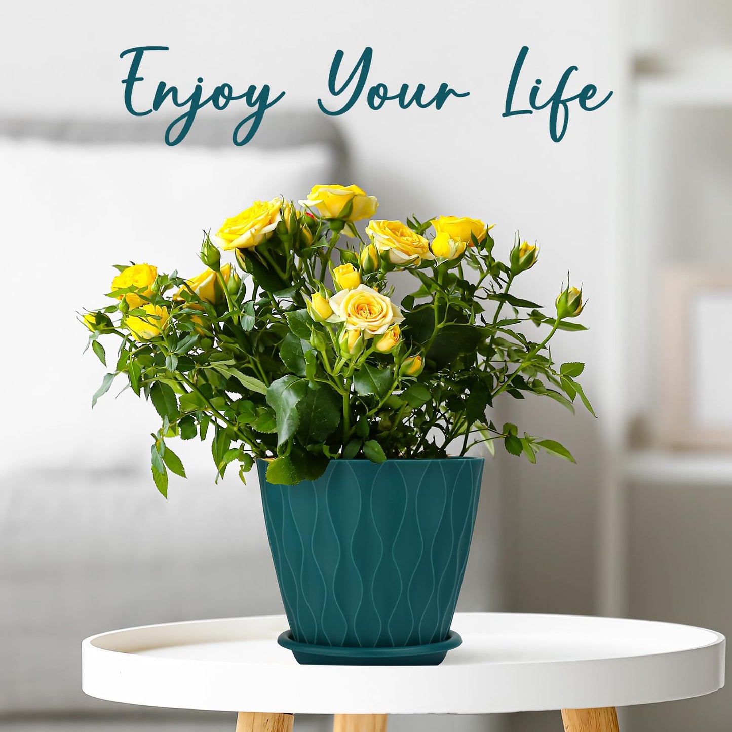 6 inch Plant Pots, 5 Pack Flower Pots Outdoor Indoor, Planters with Drainage Holes and Tray Saucers（Multicolor）