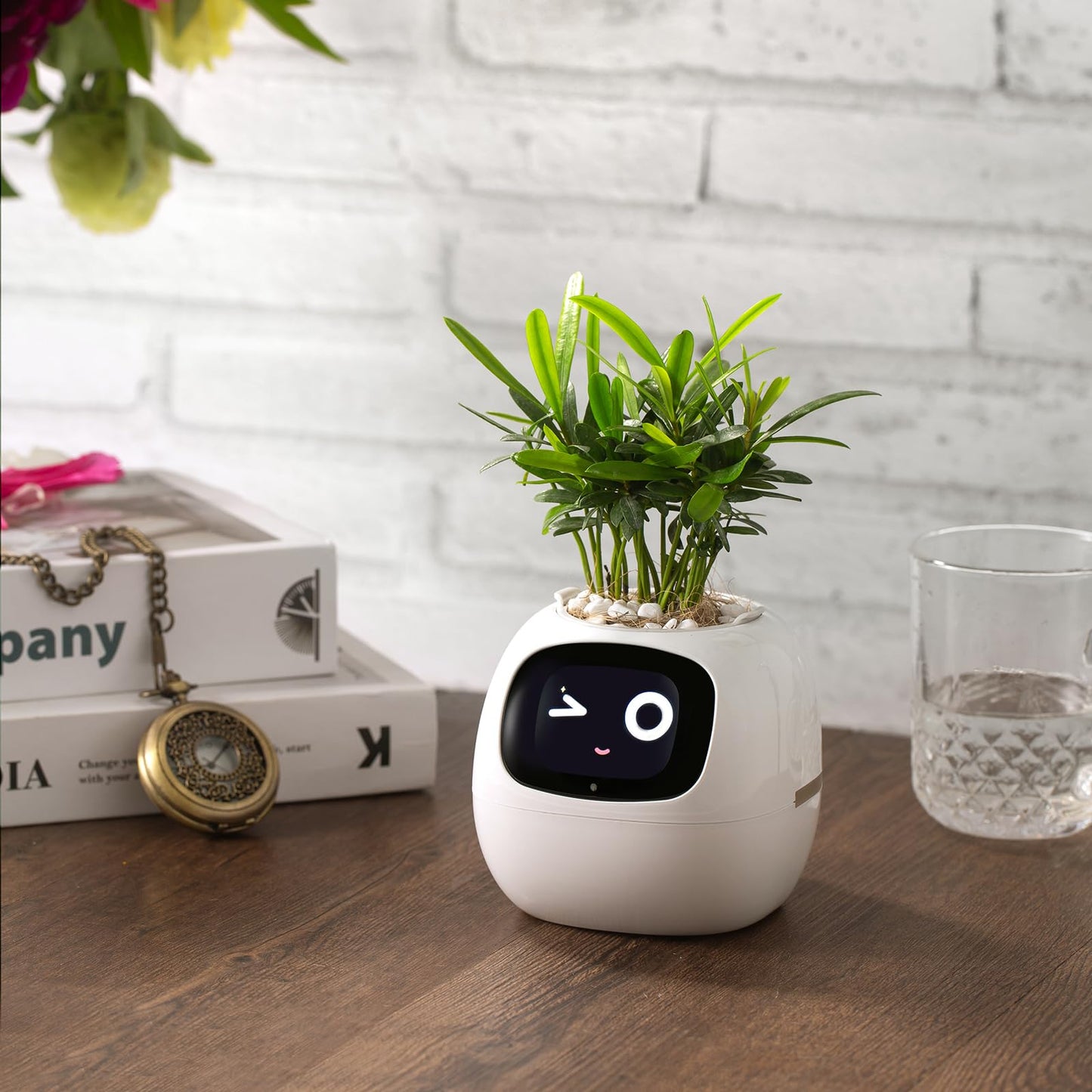 Smart pet Planter Robot Guidance on Plant Care with Emojis, Adorable Plant Companion with Rich Gesture Interaction, Neat Desk Setup Gift (Green)