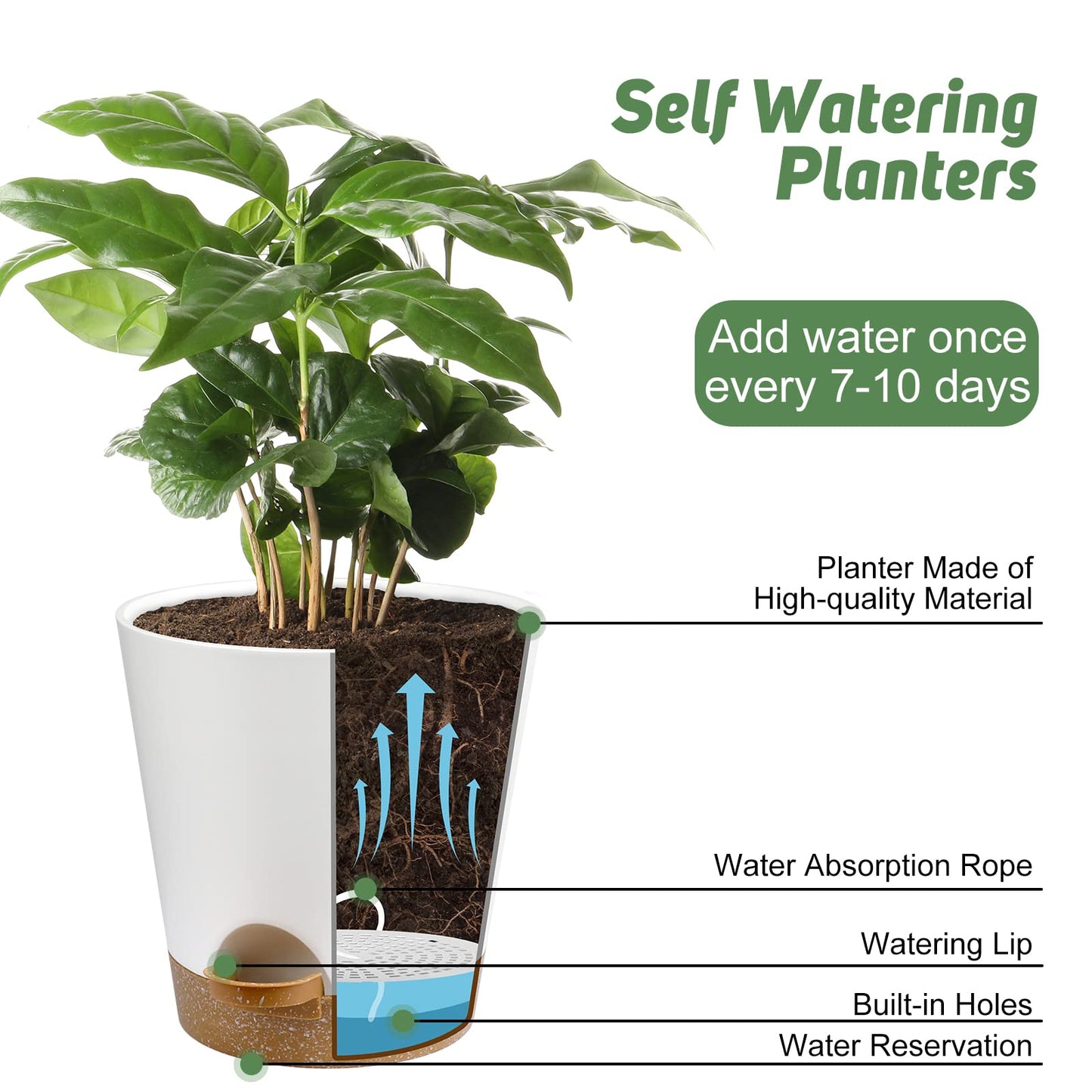 Indoor Self Watering Planters with Drainage Holes and Saucers, 8, 7, 6.5, 6, 5.5, 5 Inches, Black, 6 Pots