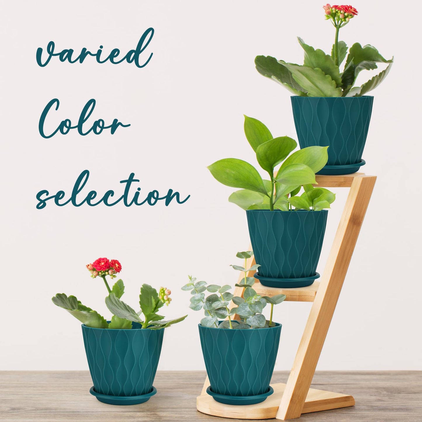 6 inch Plant Pots, 5 Pack Flower Pots Outdoor Indoor, Planters with Drainage Holes and Tray Saucers（Multicolor）