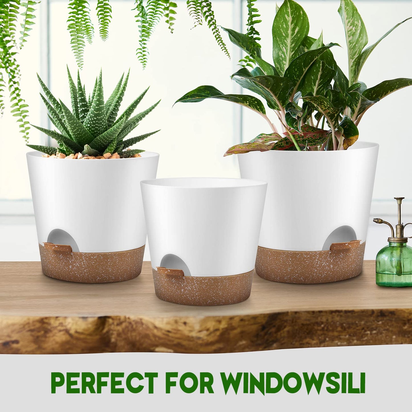 Indoor Self Watering Planters with Drainage Holes and Saucers, 8, 7, 6.5, 6, 5.5, 5 Inches, Black, 6 Pots