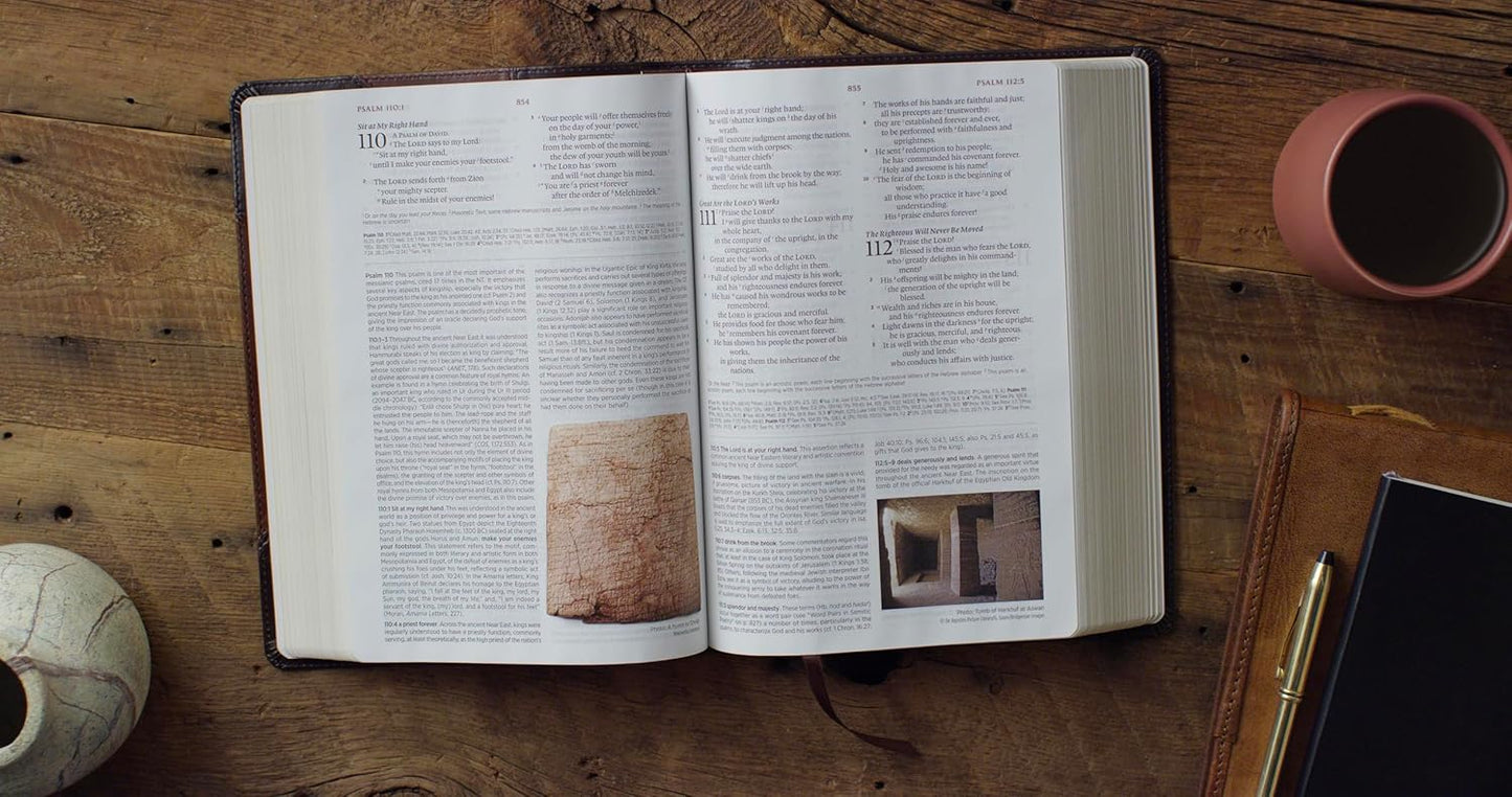 ESV Archaeology Study Bible (TruTone, Brown/Walnut, Portfolio Design): Holy Bible, English Standard Version