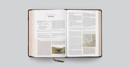 ESV Archaeology Study Bible (TruTone, Brown/Walnut, Portfolio Design): Holy Bible, English Standard Version